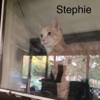 Stephie